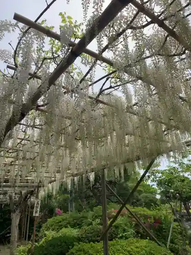 白旗神社の庭園