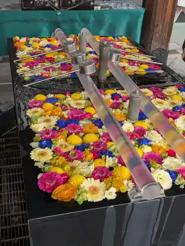 成田山深川不動堂（新勝寺東京別院）(東京都)