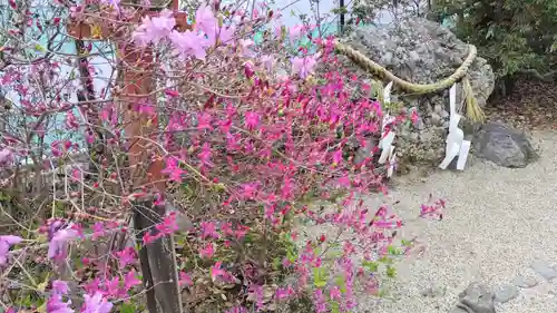 賀茂御祖神社（下鴨神社）(京都府)