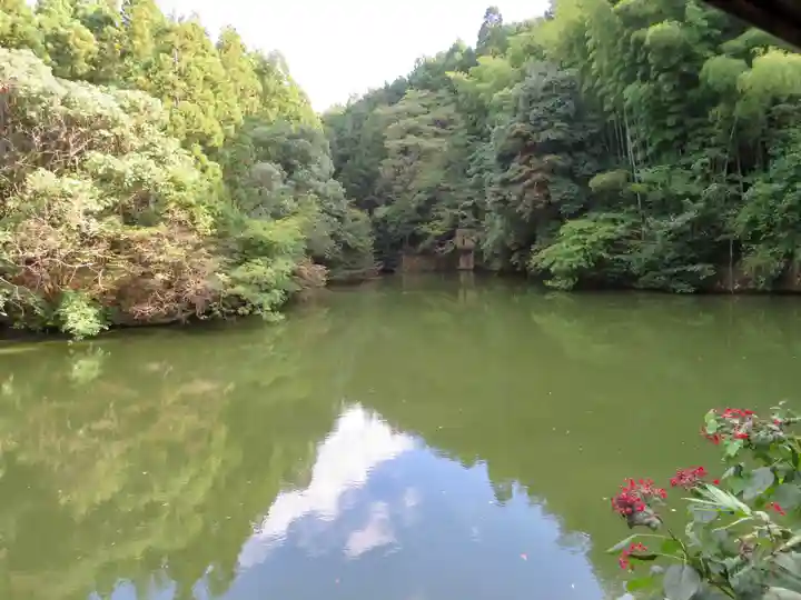 伏見稲荷大社の自然