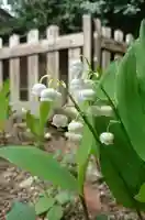 阿邪訶根神社の自然