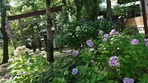 若宮神明社の庭園