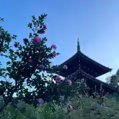 浄発願寺(神奈川県)