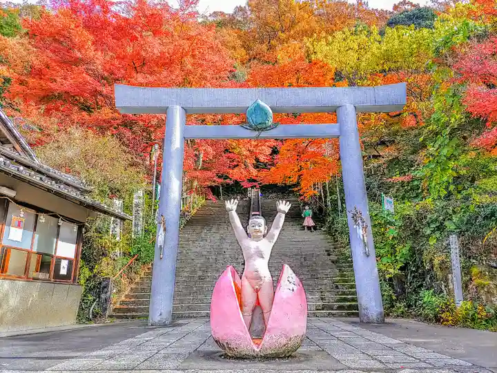 桃太郎神社(栗栖)の鳥居