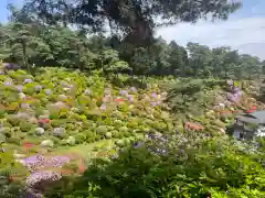 塩船観音寺(東京都)