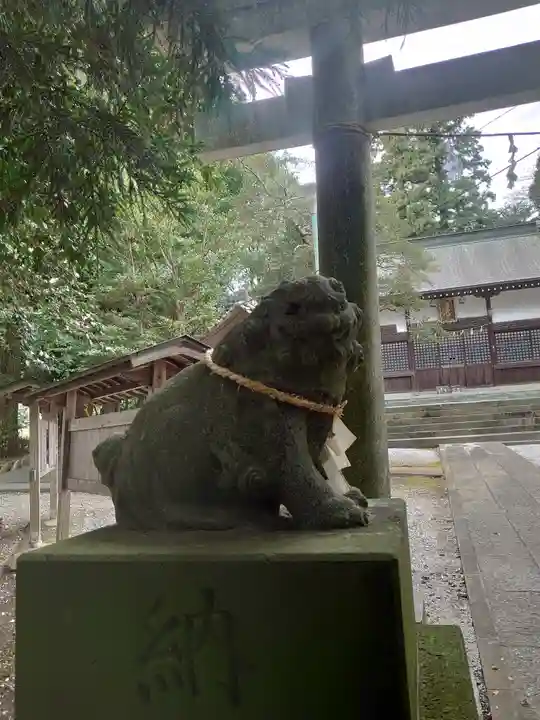 出雲祝神社の狛犬