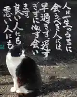 専念寺(大阪府)