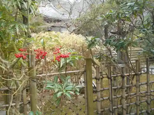 安國論寺（安国論寺）の庭園