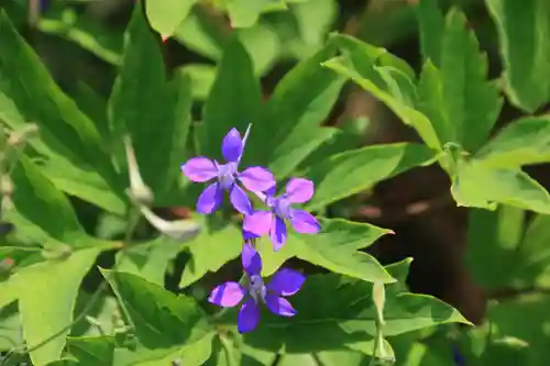 御嶽山神社の庭園