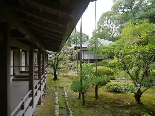 大覚寺の庭園