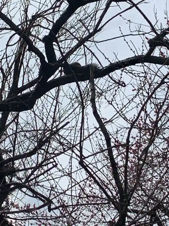 大前神社の自然