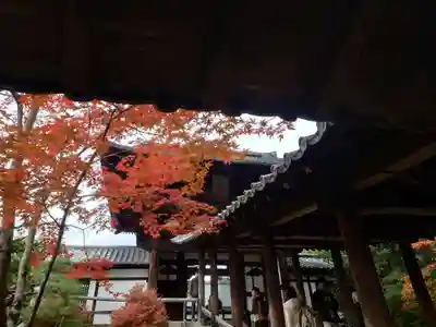 東福禅寺(東福寺)(京都府)