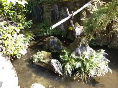 宝泉院(京都府)