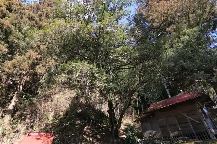 都々古別神社の自然