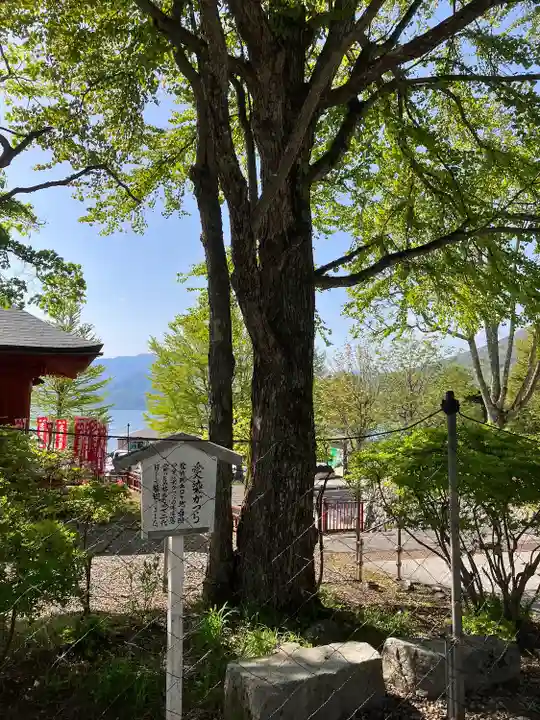 中禅寺(栃木県)