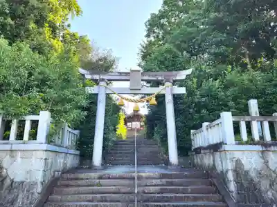 八幡神社(みよし市)(愛知県)