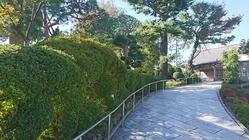 東円寺の庭園