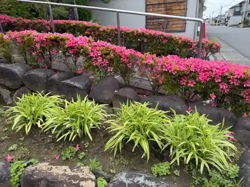 西方山極楽寺(岐阜県)