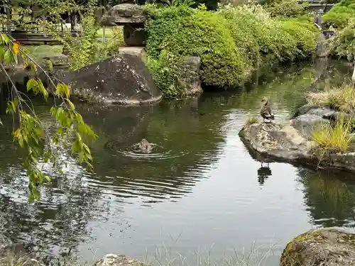 諏訪護国神社(長野県)