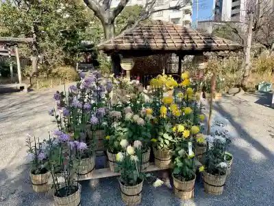 福禄寿尊堂（向島百花園）(東京都)