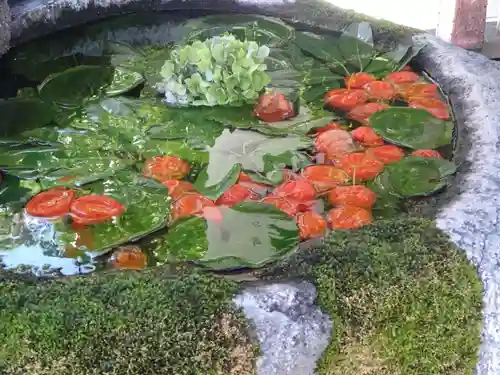 出雲大社相模分祠の手水舎