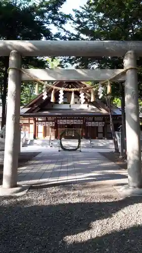 新琴似神社の本殿