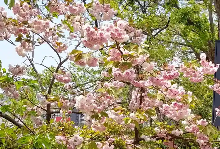 刺田比古神社(和歌山県)