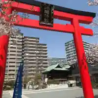 亀戸浅間神社の鳥居