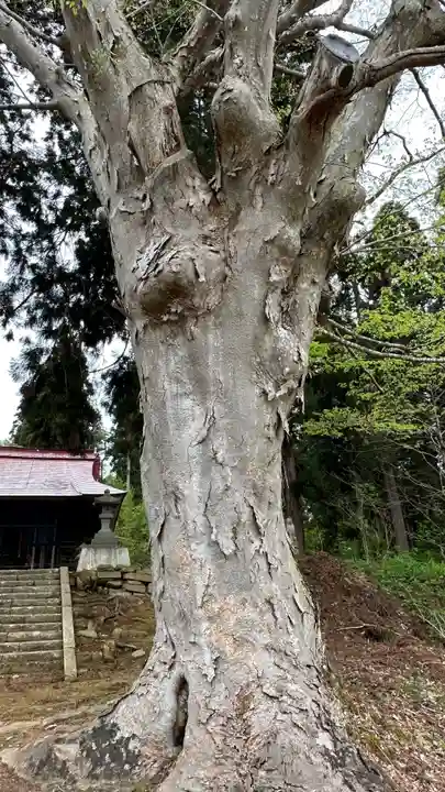 金松寺(山形県)