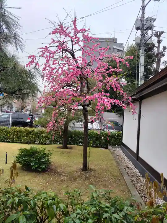 宝勝山 南藏院 蓮光寺の山門・神門