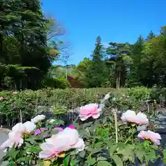 滑川神社 - 仕事と子どもの守り神の周辺