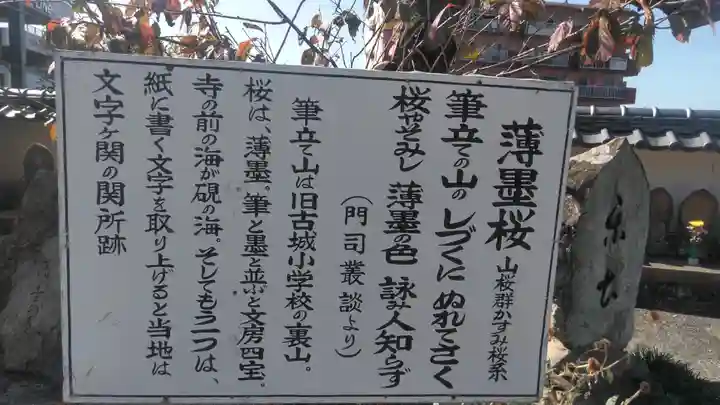 真光寺のその他建物