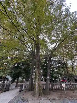 布多天神社(東京都)