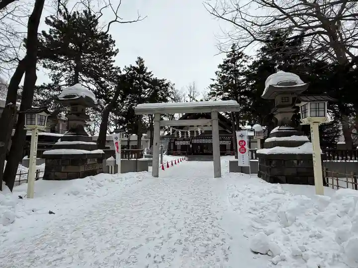 新琴似神社の初詣
