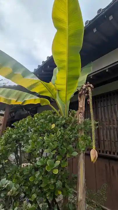 義仲寺(滋賀県)