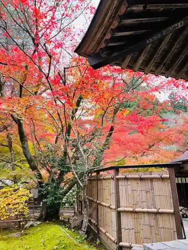 中尊寺の庭園