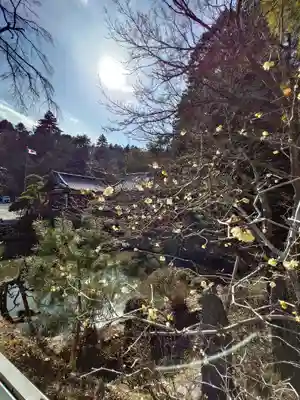 玉泉寺(埼玉県)