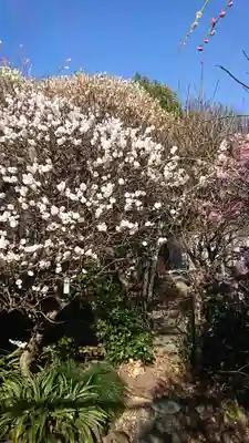 小村井 香取神社(東京都)