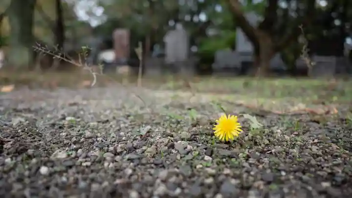 大阪護國神社(大阪府)
