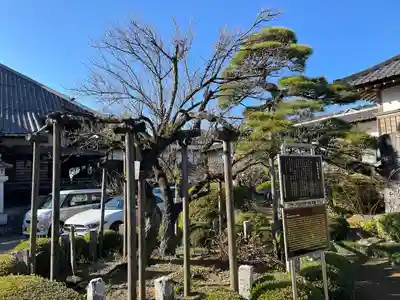 金剛寺(東京都)