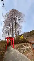 菊ケ峠神社(岡山県)