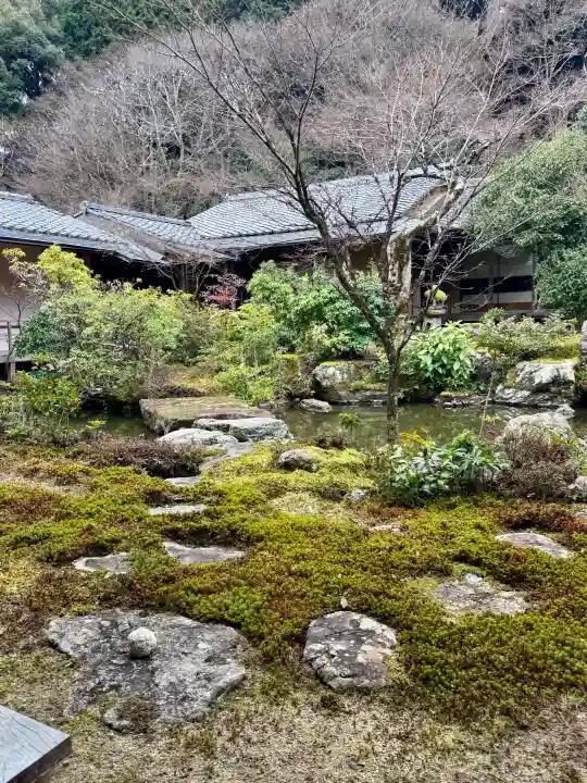 実相院門跡の{uncategorized: "未分類", other: "その他", undefined: "問題あり", building: "その他建物", grave: "お墓", sacred_gate: "鳥居", guardian: "狛犬", statue: "像", buddha: "仏像", history: "歴史", nature: "自然", garden: "庭園", animal: "動物", pagoda: "塔", temizu: "手水舎", mountain_gate: "山門・神門", sanctuary: "本殿・本堂", subordinate: "末社・摂社", art: "芸術", scenery: "景色", jizo: "地蔵", ema: "絵馬", goshuin: "御朱印", omikuji: "おみくじ", items: "授与品その他", amulet: "お守り", goshuincho: "御朱印帳", eats: "食事", festival: "お祭り", votive_dance: "神楽", shichigosan: "七五三参", wedding: "結婚式", experience: "体験その他", initially: "初詣", around: "周辺", anti_infection: "感染症対策"}