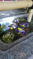 自由が丘熊野神社の手水舎