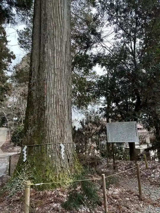 西照神社(徳島県)