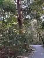 伊勢神宮外宮(豊受大神宮)(三重県)