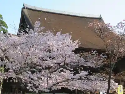 園城寺（三井寺）のその他建物