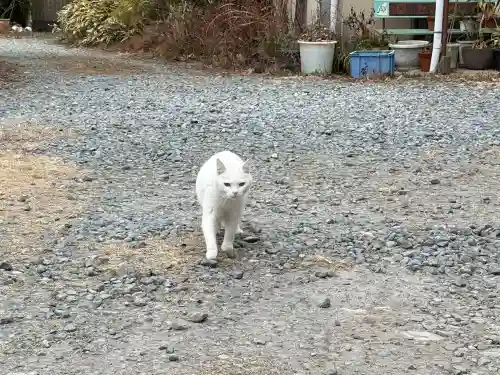 神咒寺の{uncategorized: "未分類", other: "その他", undefined: "問題あり", building: "その他建物", grave: "お墓", sacred_gate: "鳥居", guardian: "狛犬", statue: "像", buddha: "仏像", history: "歴史", nature: "自然", garden: "庭園", animal: "動物", pagoda: "塔", temizu: "手水舎", mountain_gate: "山門・神門", sanctuary: "本殿・本堂", subordinate: "末社・摂社", art: "芸術", scenery: "景色", jizo: "地蔵", ema: "絵馬", goshuin: "御朱印", omikuji: "おみくじ", items: "授与品その他", amulet: "お守り", goshuincho: "御朱印帳", eats: "食事", festival: "お祭り", votive_dance: "神楽", shichigosan: "七五三参", wedding: "結婚式", experience: "体験その他", initially: "初詣", around: "周辺", anti_infection: "感染症対策"}