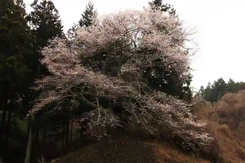 磯前神社の庭園