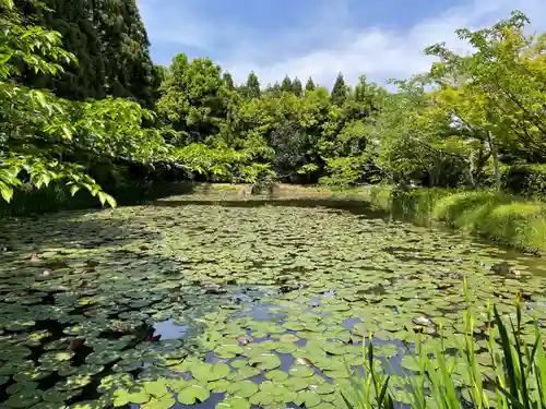 酬恩庵一休寺(京都府)
