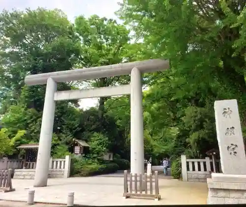 阿佐ヶ谷神明宮(東京都)